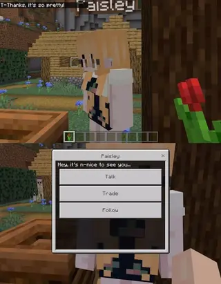 Animated Villagers