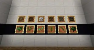 Bonsai Tree 1.20+