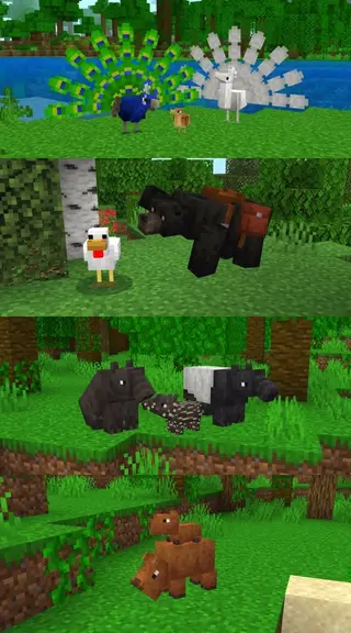 Vanilla Animals