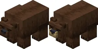 Wildlife
