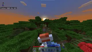 Thirst and Temperature 1.19+