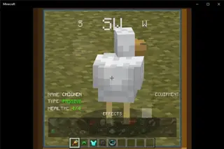 Data Display 1.19+