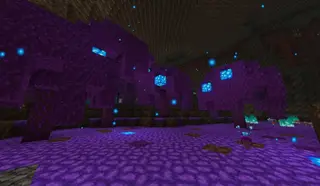 Enhanced Nether 1.19+