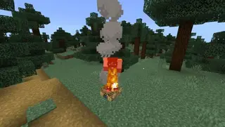 Player Animation 1.19+