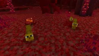 Cats Plus 1.19+