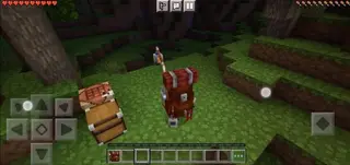 Backpack with Flashlight