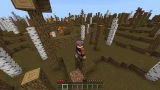 World Against