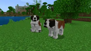 Doggies 1.19+