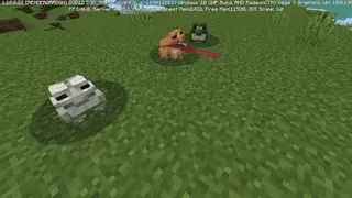 Frogs from Wild Update