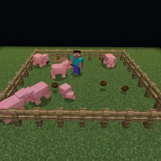 Farm Extension