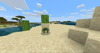 Desert Mobs