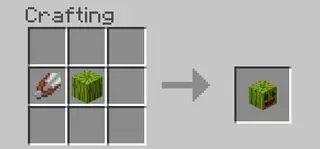 Watermelon Golem