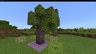 Azalea Wood Planks (Concept)