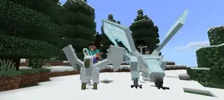 Griffins and Hippogriffs