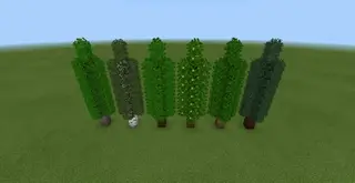 Decorative Trees