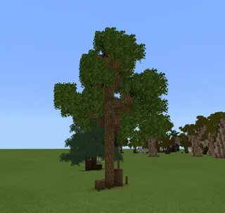 Realistic Leaves