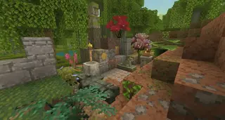 Enhanced Jungles