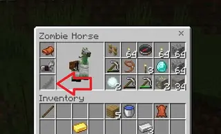 Enhanced Zombie Horse
