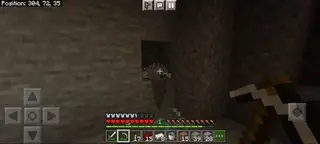 Block with Silverfish