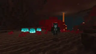 Specter 1.16+