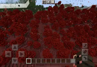 Cursed Biome 1.16+