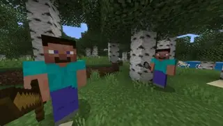 New Villagers 1.16+