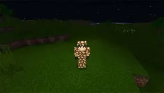 Block Armor