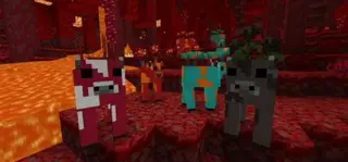 Flower Cows
