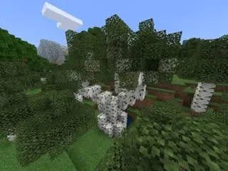 New Trees