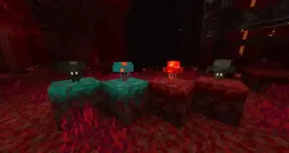 Living Mushrooms