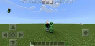 3D Mobs as Blocks (1.16.100.56+)
