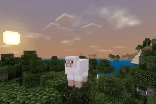 Mob Disguise
