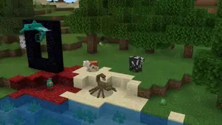 New Mobs, Blocks and Items