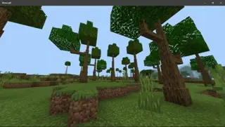 Realistic Trees