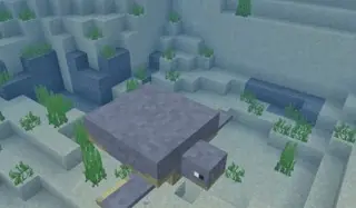 Turtles