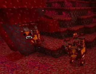Nether Mushroom Cows