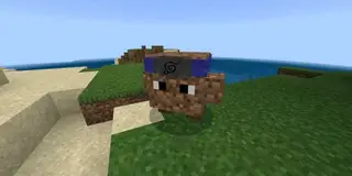 Living Blocks