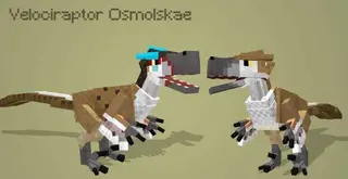 Raptors