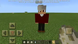 Family in Minecraft PE