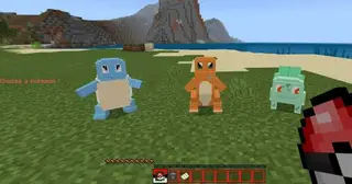 Pokémon