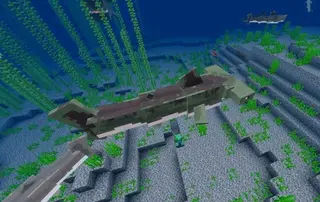 Hammerhead Shark
