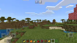 New Trees and Fruits