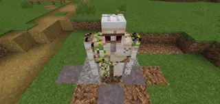 Golem Repair