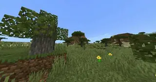 Revamped Biomes
