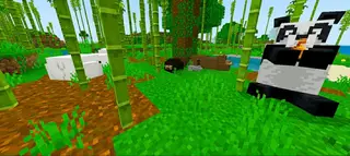 New Bears and Pandas in Minecraft Bedrock 1.14