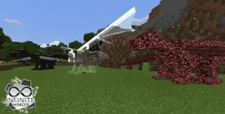 Dragons in Minecraft Bedrock Edition 1.13+