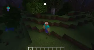 Torch Light in Hand