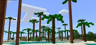 Tropical Beach Mod