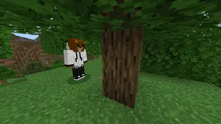 Fast Block Breaking Mod