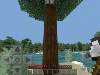 Instant Tree Harvest